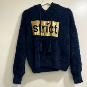 Celine mohair strict blue hoodie sweater
